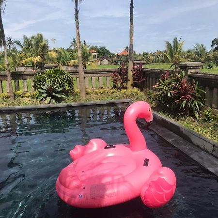 Anggarakasih Ubud Villa 外观 照片