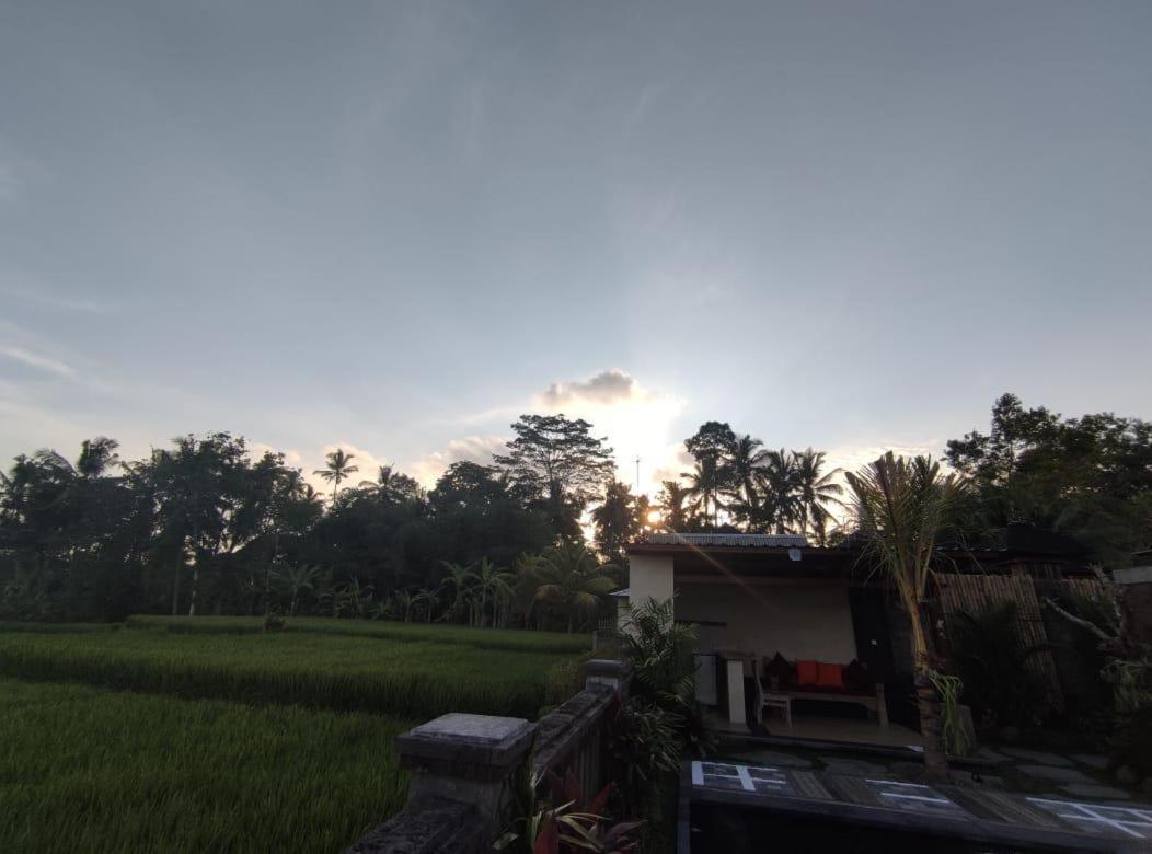 Anggarakasih Ubud Villa 外观 照片