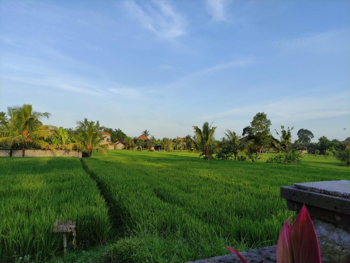 Anggarakasih Ubud Villa 外观 照片